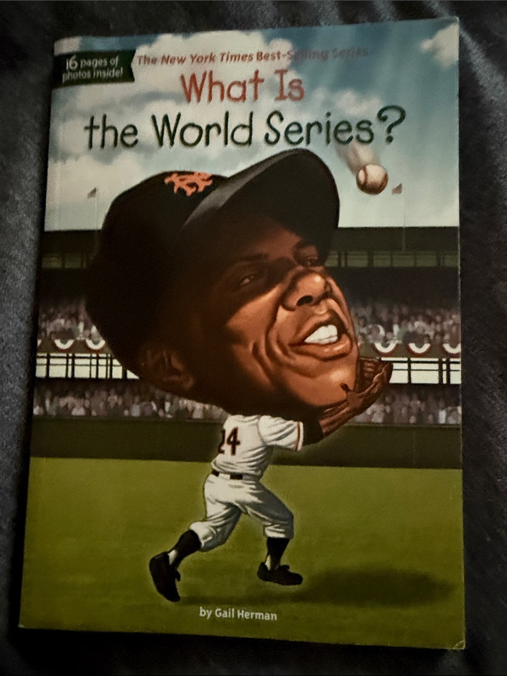 What Is the World Series? Paperback Book - Illustrated Baseball Cover